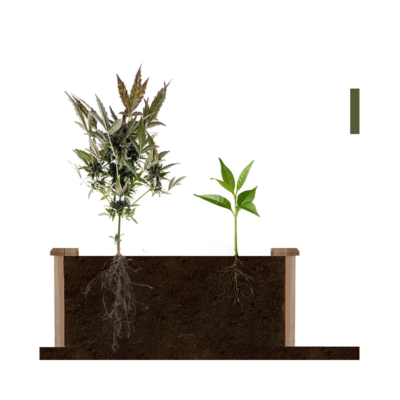 3.9ft x 3.9ft ยกกล่องเตียงสวนพร้อมตารางปลูกแบบแบ่งส่วน วัสดุไม้สำหรับพืชสวนหลังบ้านและสมุนไพร