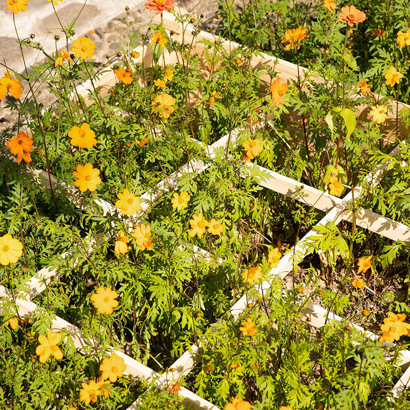 3.9ft x 3.9ft ยกกล่องเตียงสวนพร้อมตารางปลูกแบบแบ่งส่วน วัสดุไม้สำหรับพืชสวนหลังบ้านและสมุนไพร